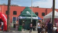 Specialisti della comunicazione su piazza